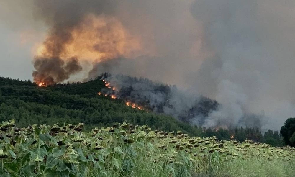 Πύρινη ''κόλαση'' στην Εύβοια - ''Εκκενώστε τώρα τις Μηλιές προς Ιστιαία''